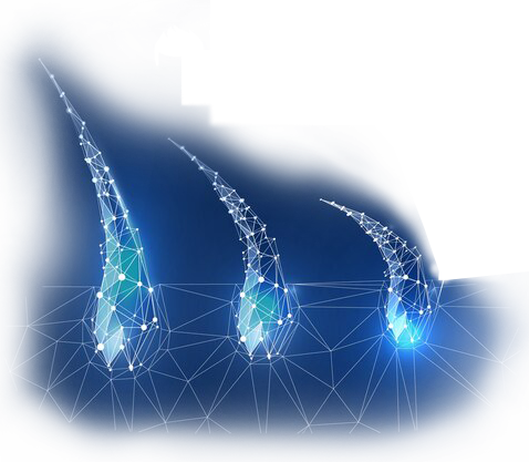  Mega graft hair transplant center